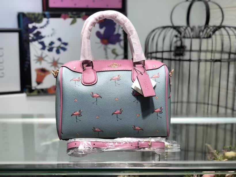 Luxury Designer Coach Womens Bags