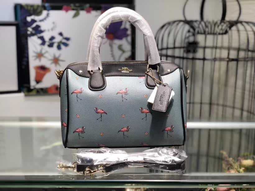 Luxury Designer Coach Womens Bags