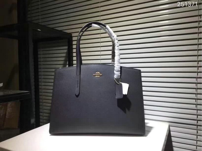 High Quality Coach Womens Handbags