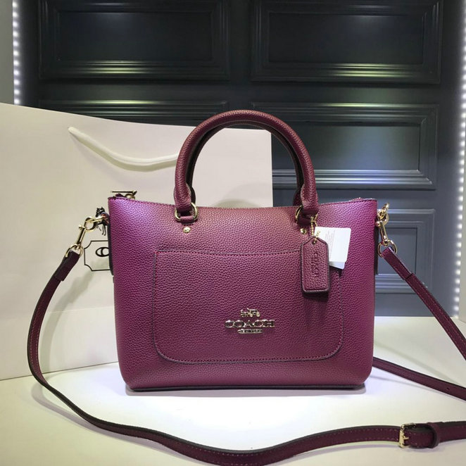 Wholesale Designer Aaa Coach Handbags for sale