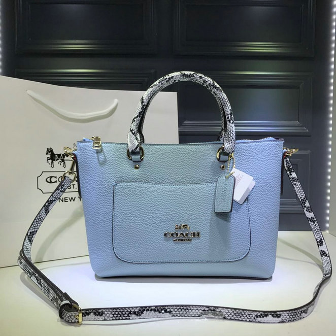 Wholesale Designer Aaa Coach Handbags for sale