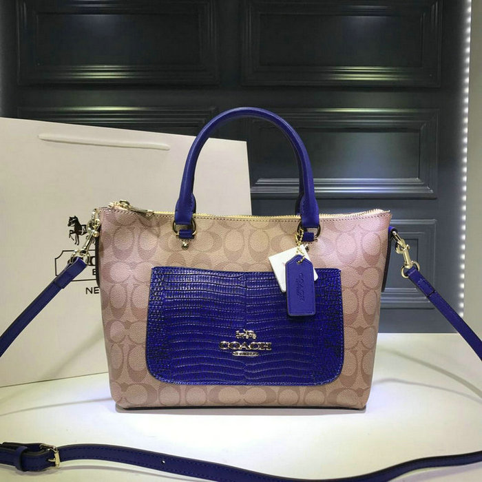 Wholesale Designer Aaa Coach Handbags for sale