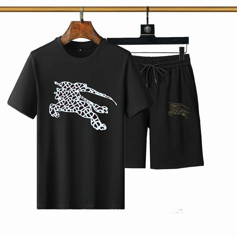 Wholesale Cheap Burberry Short Sleeve Tracksuit mens for Sale