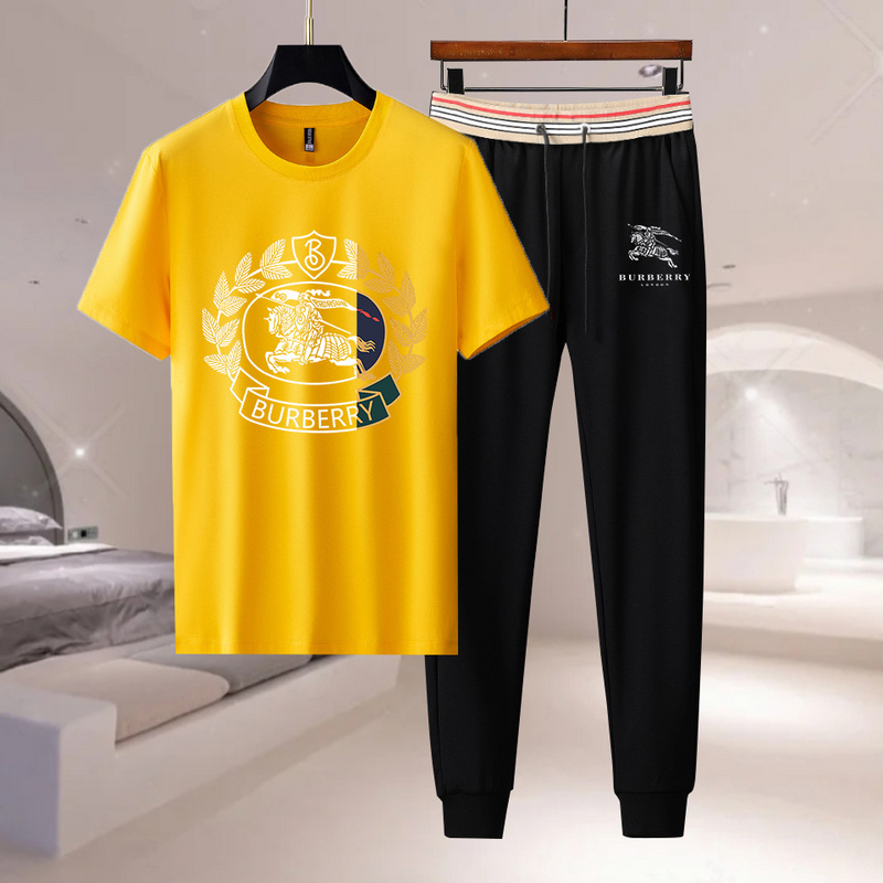 Wholesale Cheap B urberry Short Sleeve Replica Tracksuits for Sale