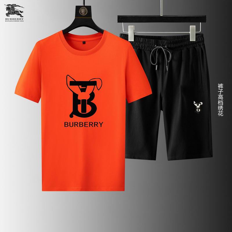 Wholesale Cheap B urberry Short Sleeve Replica Tracksuits for Sale