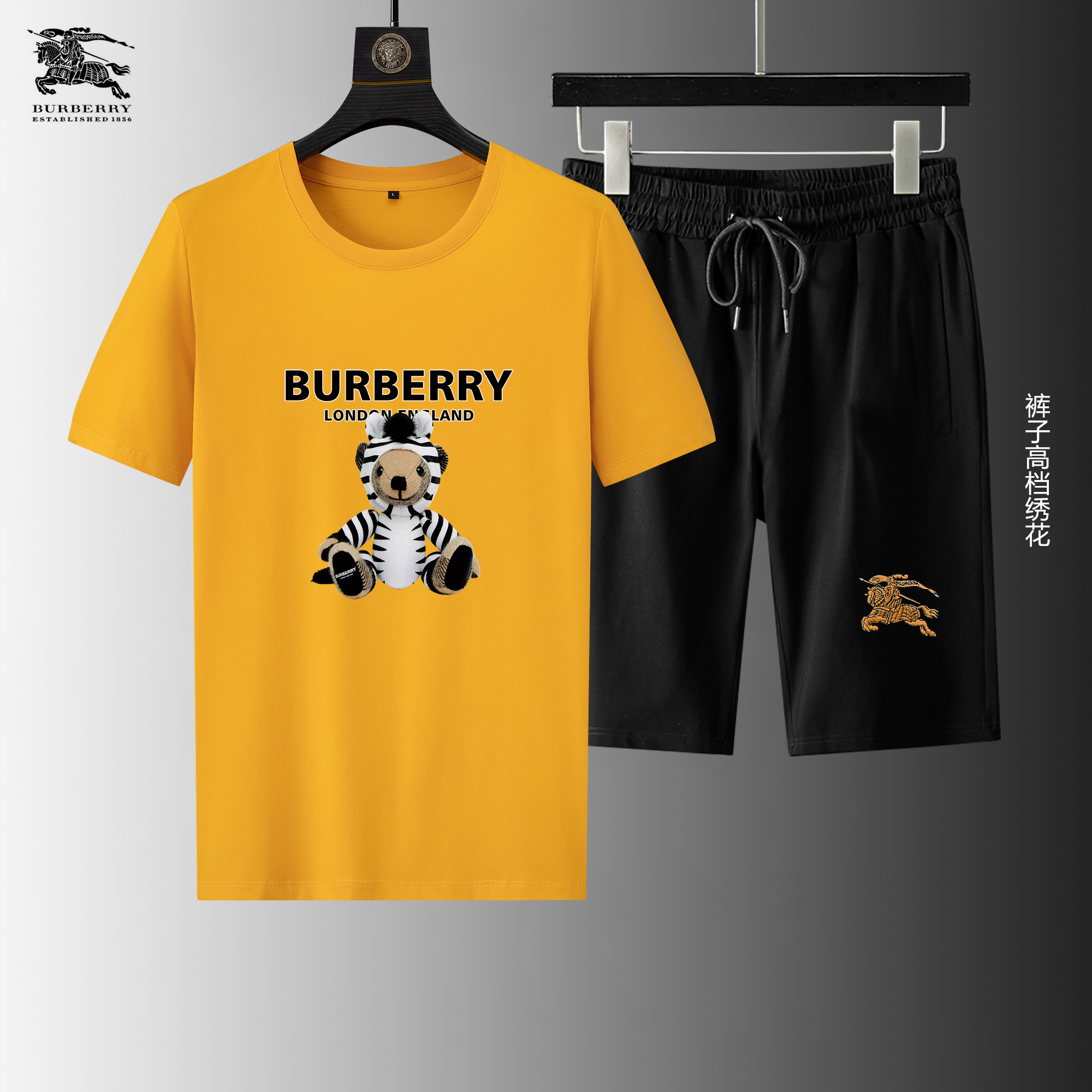 Wholesale Cheap B urberry Short Sleeve Replica Tracksuits for Sale