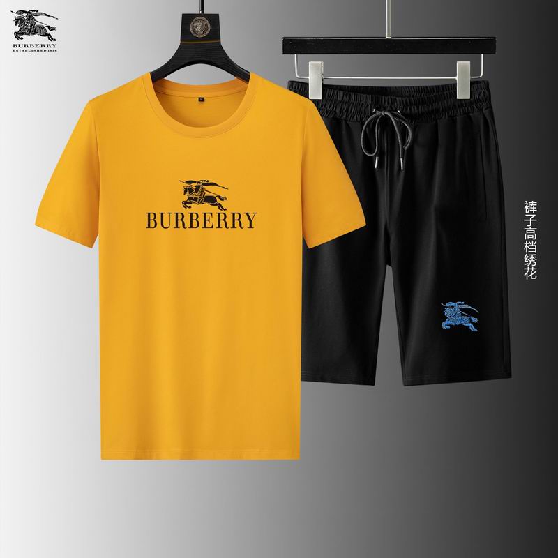 Wholesale Cheap B urberry Short Sleeve Replica Tracksuits for Sale
