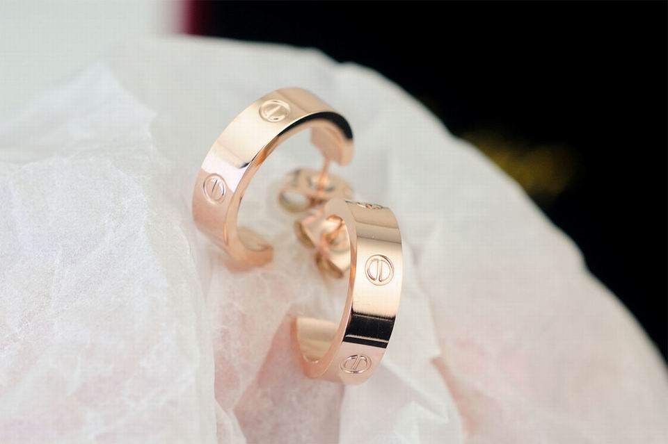 Wholesale High Quality Fashion Earrings for Sale