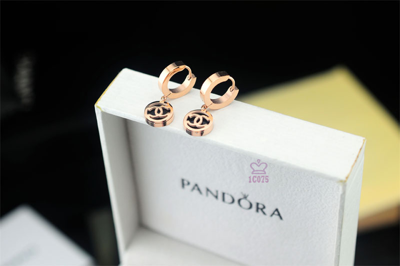 Wholesale Womens Designer Fashion Earrings Sale