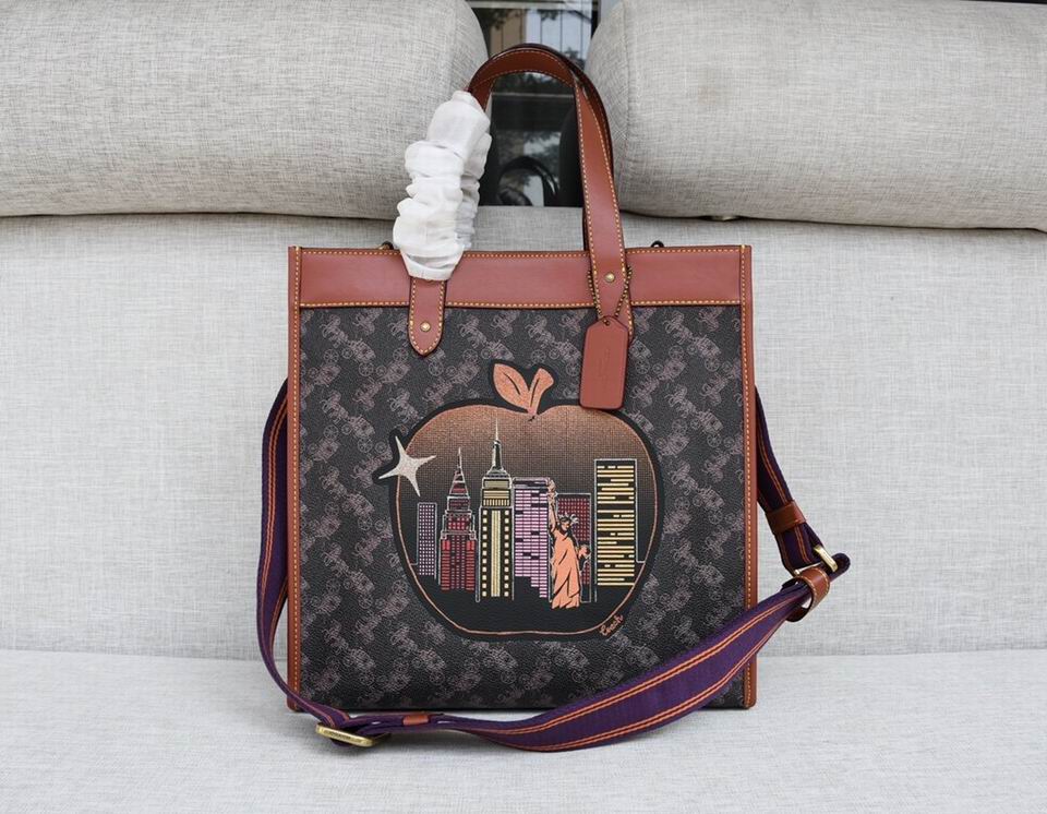 Wholesale Cheap Coach Aaa Designer Bags for Sale