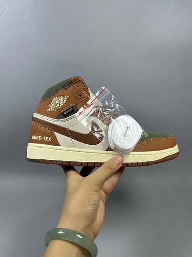 Jordan 1 Retro High Element Gore-Tex Legend Coffee Shoes DB2889-102