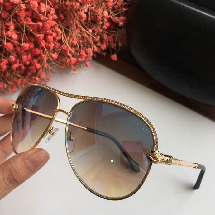Wholesale Cheap Roberto Cavalli Designer Sunglasses For Sale