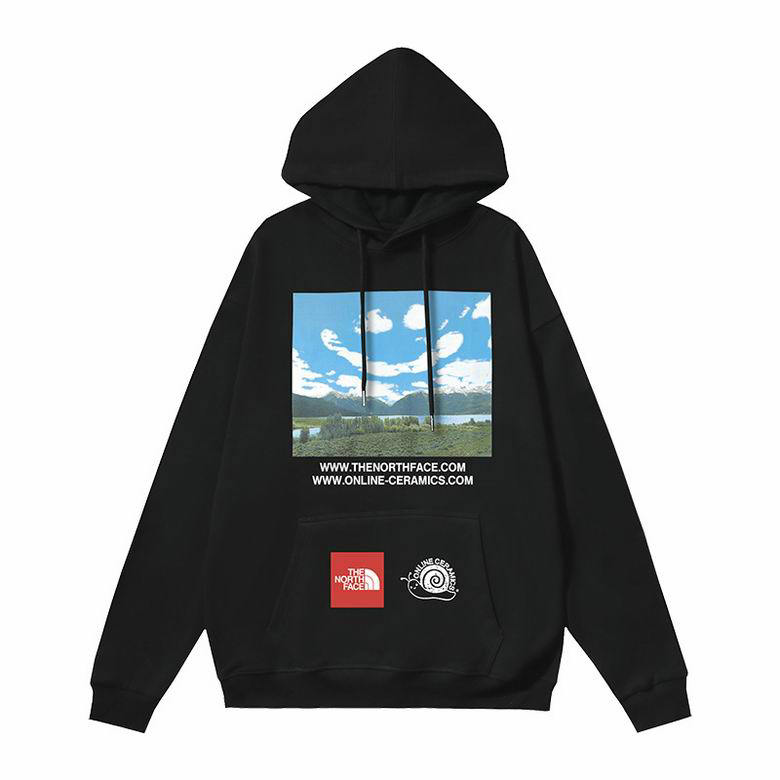 Wholesale Cheap The North Face Replica Hoodies for Sale