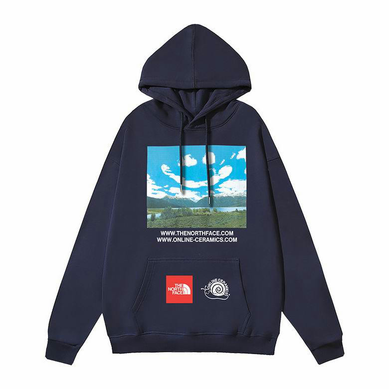 Wholesale Cheap The North Face Replica Hoodies for Sale
