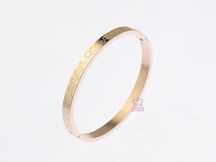 Wholesale Cheap Replica Calvin Klein Bangles-009