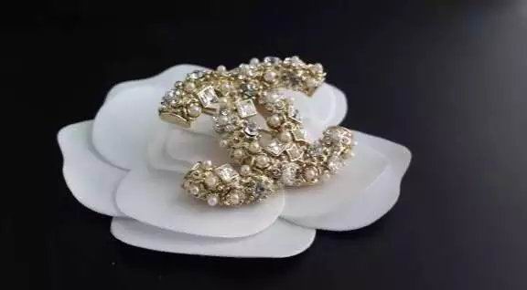 Wholesale Fashion Replica Brooch for women-296