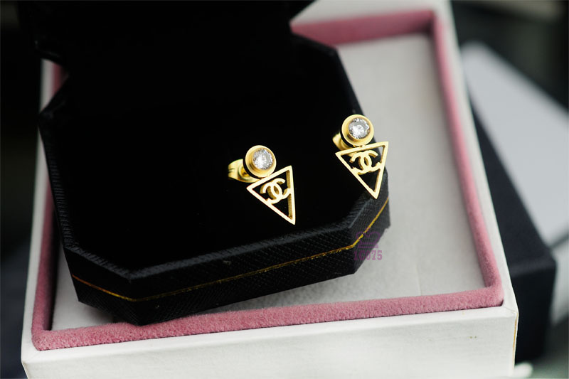 Wholesale Brand Name Earrings for Women-018