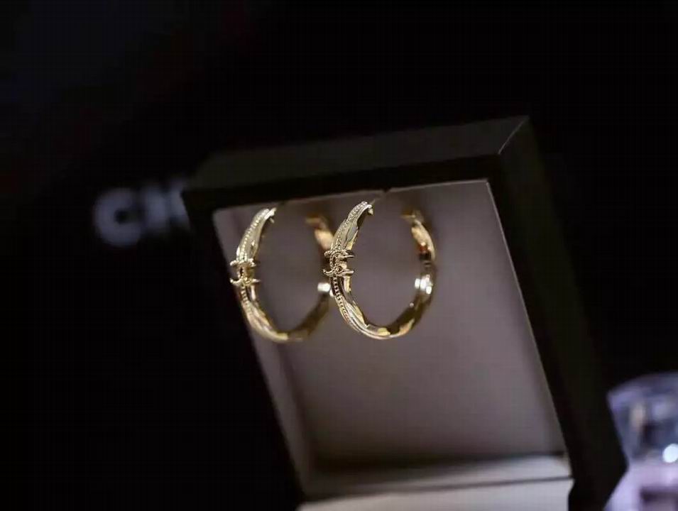 Wholesale Brand Name Earrings for Women-072