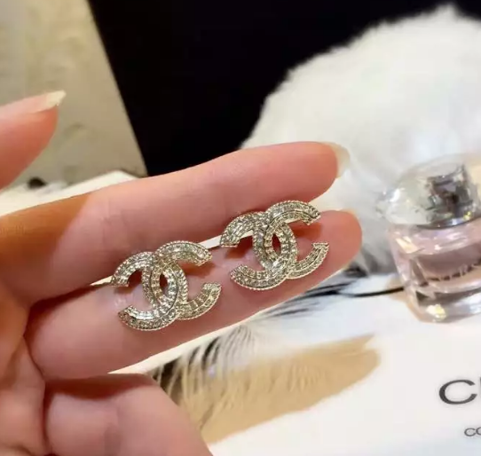 Wholesale Brand Name Earrings for Women-161