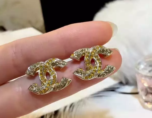 Wholesale Brand Name Earrings for Women-163