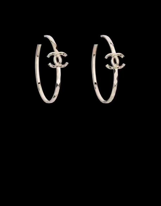 Wholesale Top Designer Earrings-325