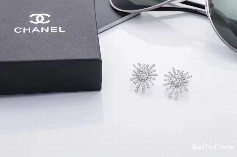 Wholesale Top Designer Earrings-343