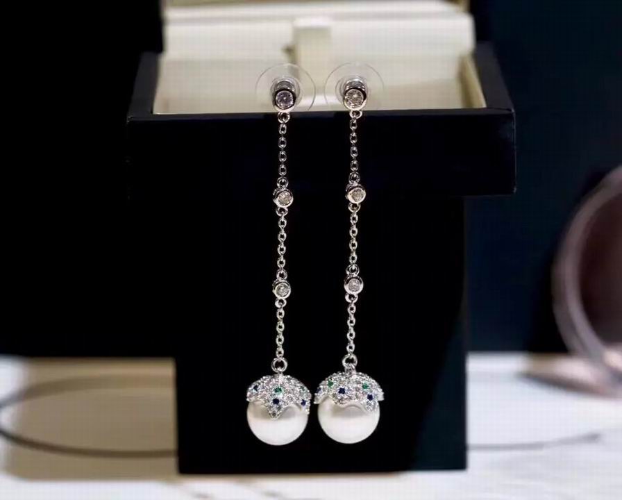 Wholesale Top Designer Earrings-358