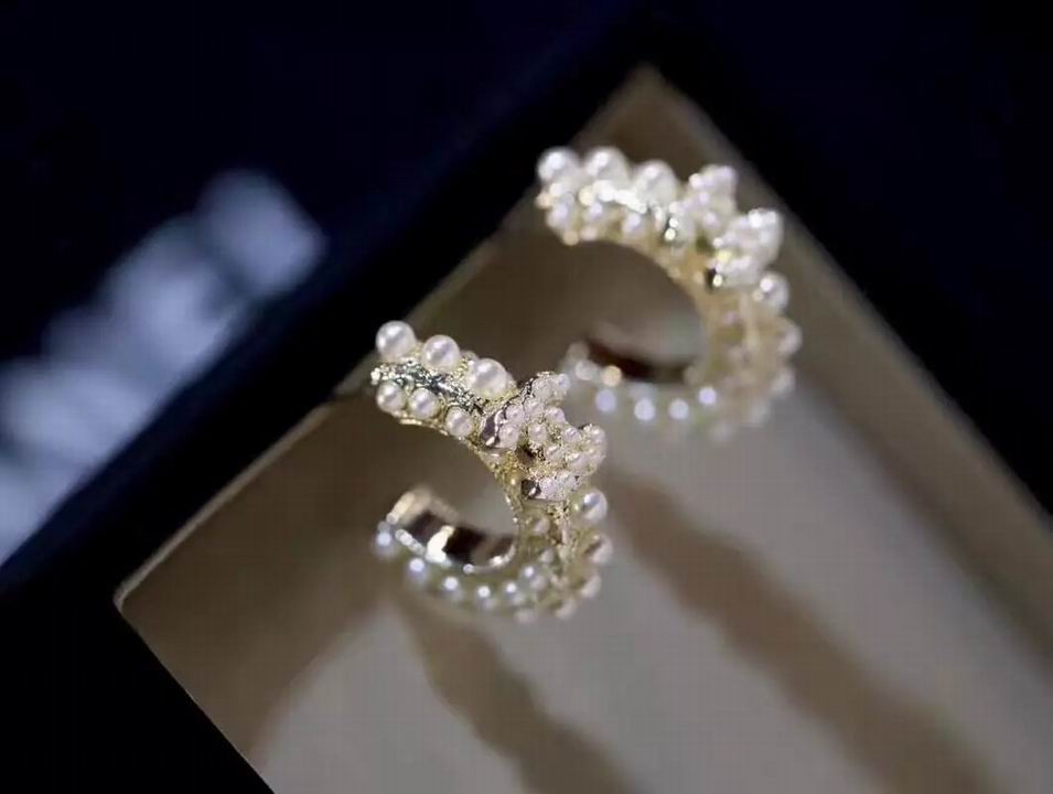 Wholesale Top Designer Earrings-374