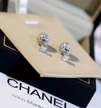 Wholesale Top Designer Earrings-383