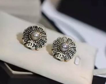 Wholesale Top Designer Earrings-393