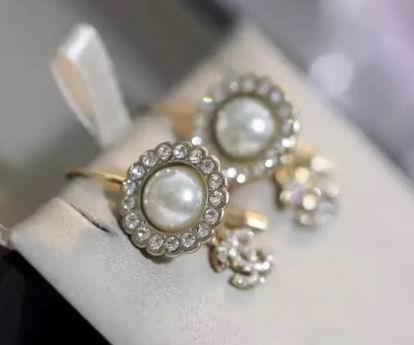 Wholesale Top Designer Earrings-394