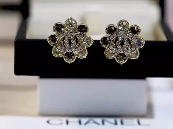 Wholesale Top Designer Earrings-398