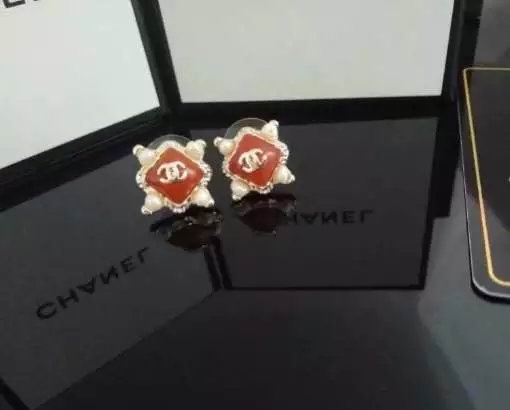 Wholesale Women Fashion Earrings Cheap-554