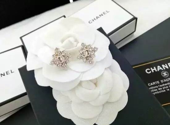 Wholesale Women Fashion Earrings-580