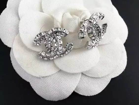 Wholesale Women Fashion Earrings-593