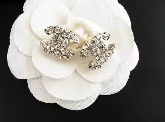 Wholesale Women Fashion Earrings-594