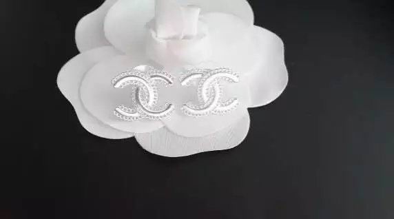 Wholesale Women Fashion Earrings-618