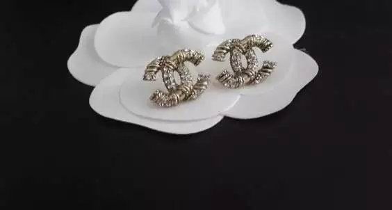 Wholesale Women Fashion Earrings-620