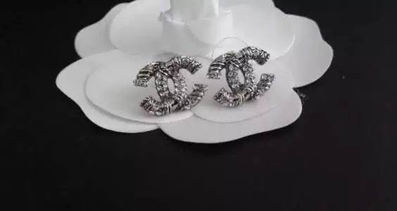 Wholesale Women Fashion Earrings-621