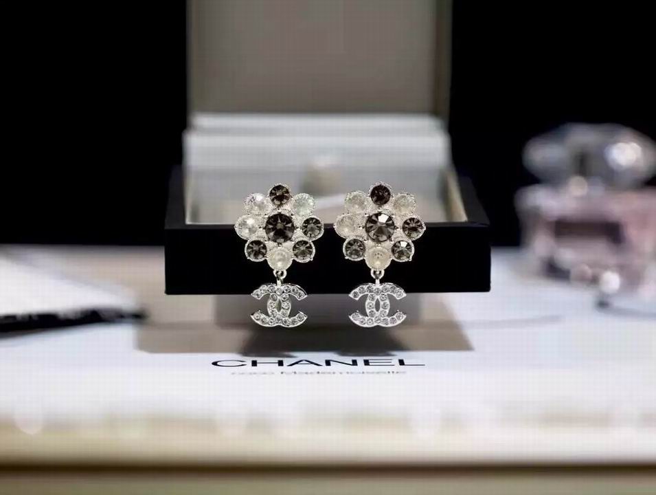 Wholesale Women Fashion Earrings-648