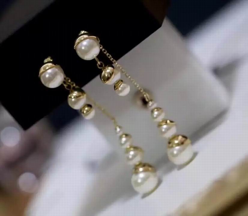 Wholesale Christian Dior Earrings Replica-058