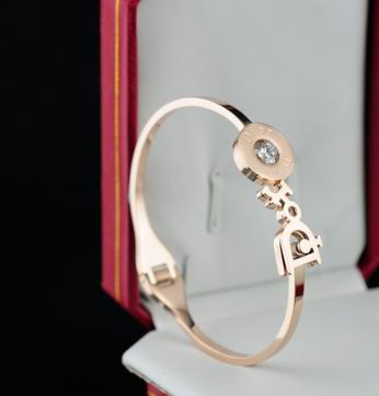 Wholesale Christian Dior Bracelets Replica-049