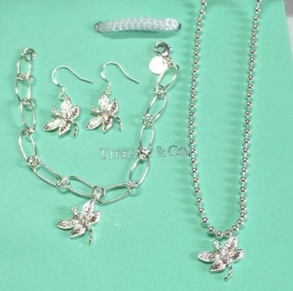Wholesale Fashion Replica Tiffany & Co Jewelry sets for Women-207
