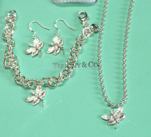 Wholesale Fashion Replica Tiffany & Co Jewelry sets for Women-208
