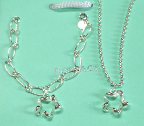 Wholesale Fashion Replica Tiffany & Co Jewelry sets for Women-217