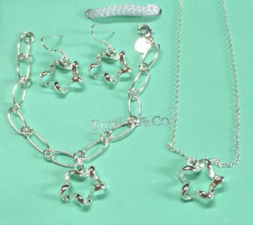 Wholesale Fashion Replica Tiffany & Co Jewelry sets for Women-219