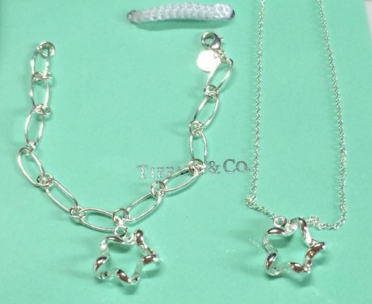 Wholesale Fashion Replica Tiffany & Co Jewelry sets for Women-220