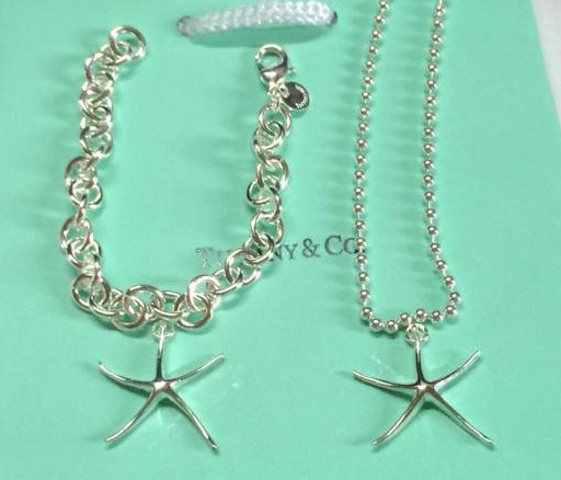 Wholesale Fashion Replica Tiffany & Co Jewelry sets for Women-239