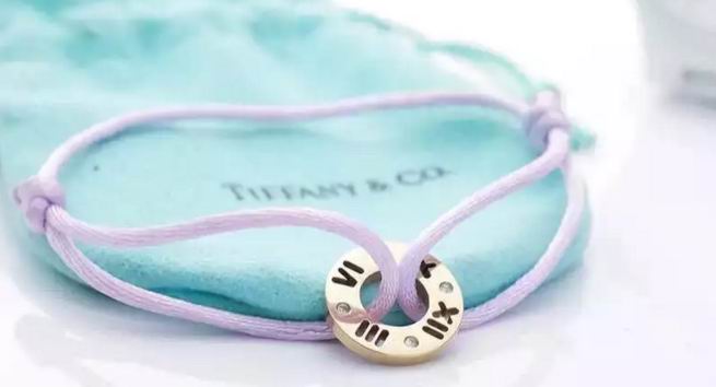Wholesale Replica Tiffany & Co Jewelry Bracelets-149