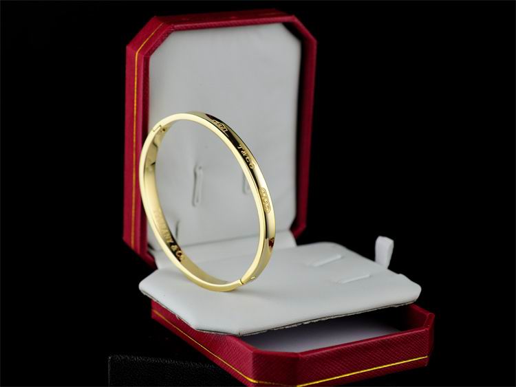Wholesale Fashion Tiffany & Co Bracelets-417